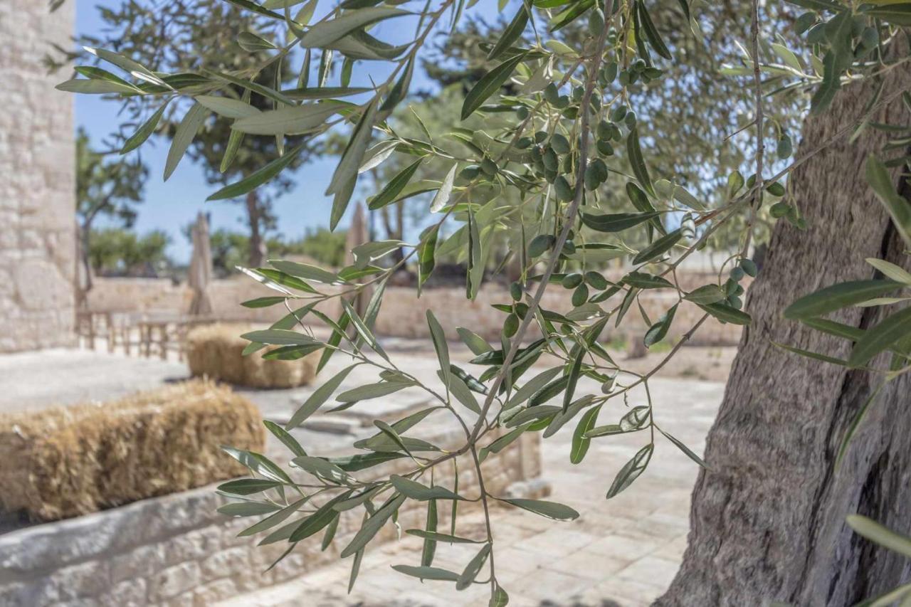 Masseria Fanizzi Conversano Ngoại thất bức ảnh
