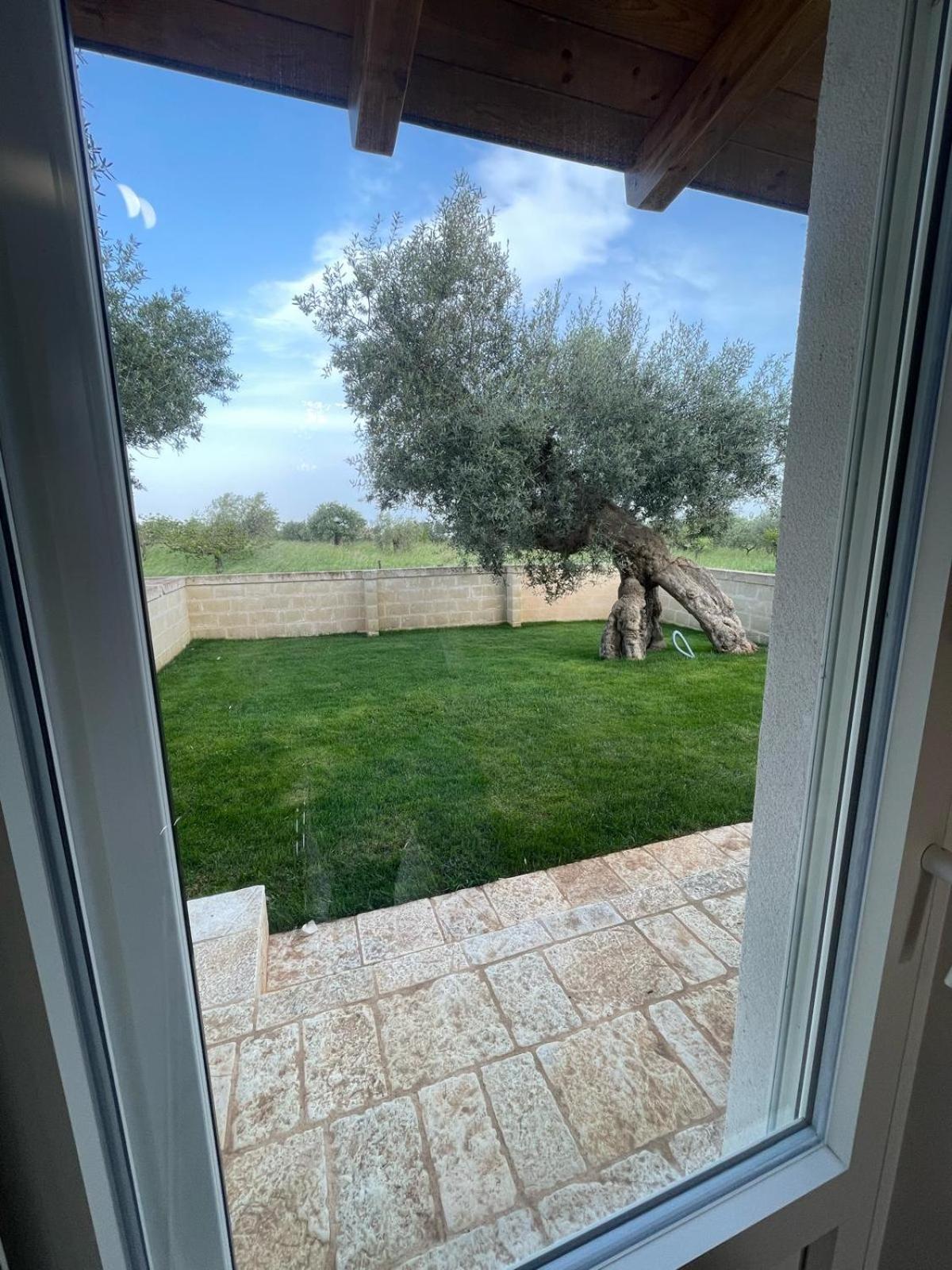 Masseria Fanizzi Conversano Phòng bức ảnh